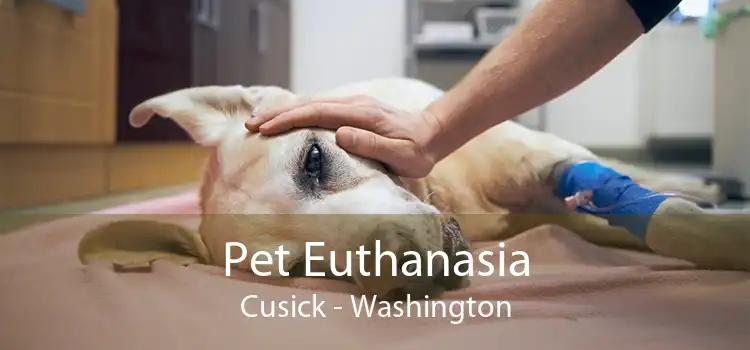 Pet Euthanasia Cusick - Washington