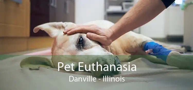 Pet Euthanasia Danville - Illinois