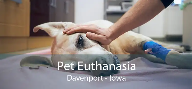 Pet Euthanasia Davenport - Iowa