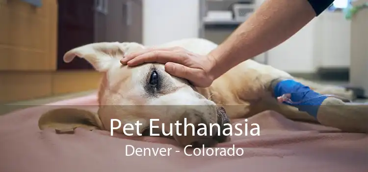 Pet Euthanasia Denver - Colorado
