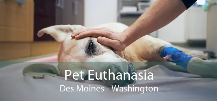 Pet Euthanasia Des Moines - Washington