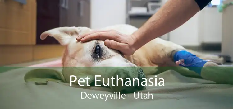 Pet Euthanasia Deweyville - Utah