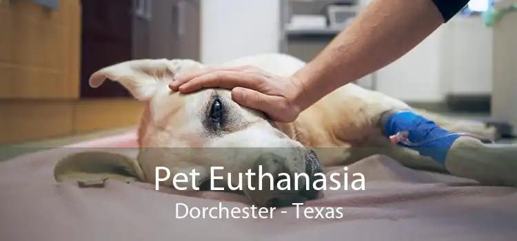 Pet Euthanasia Dorchester - Texas