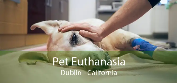 Pet Euthanasia Dublin - California