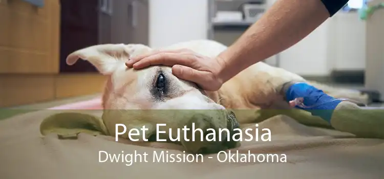 Pet Euthanasia Dwight Mission - Oklahoma