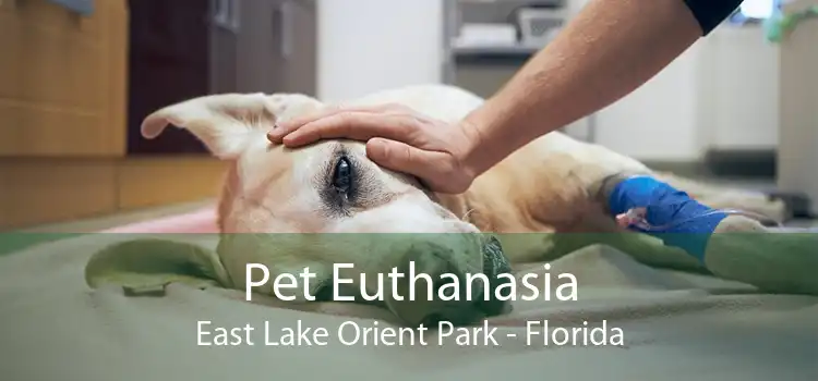 Pet Euthanasia East Lake Orient Park - Florida