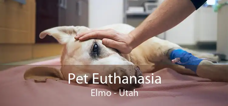 Pet Euthanasia Elmo - Utah