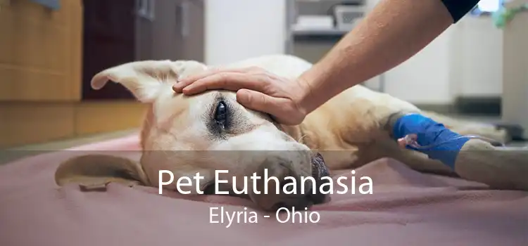 Pet Euthanasia Elyria - Ohio