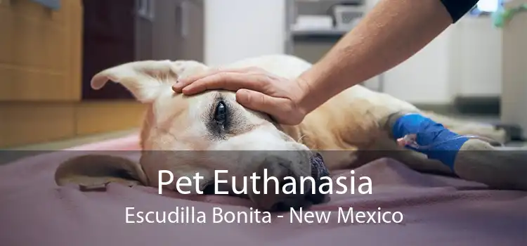 Pet Euthanasia Escudilla Bonita - New Mexico