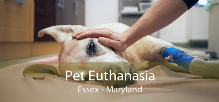 Pet Euthanasia Essex - Maryland