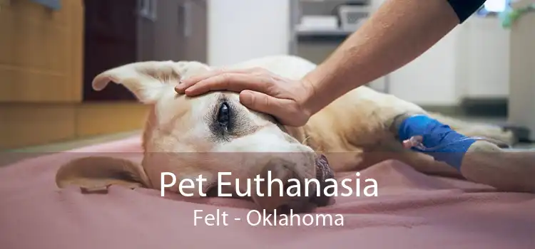 Pet Euthanasia Felt - Oklahoma