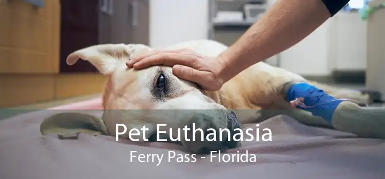 Pet Euthanasia Ferry Pass - Florida