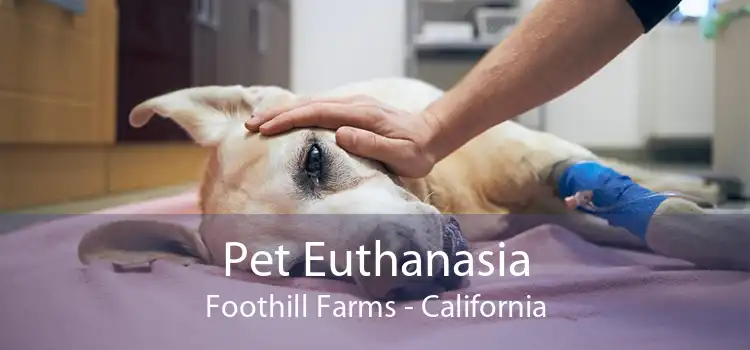Pet Euthanasia Foothill Farms - California