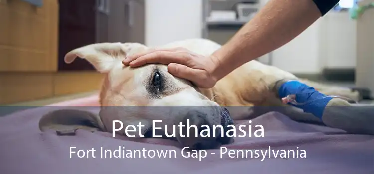 Pet Euthanasia Fort Indiantown Gap - Pennsylvania