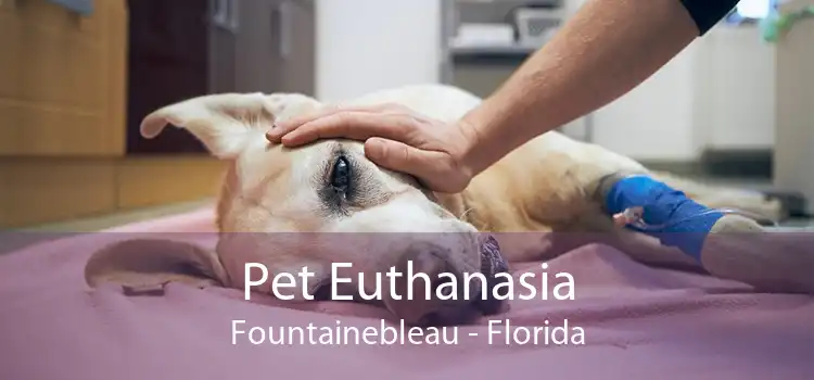 Pet Euthanasia Fountainebleau - Florida