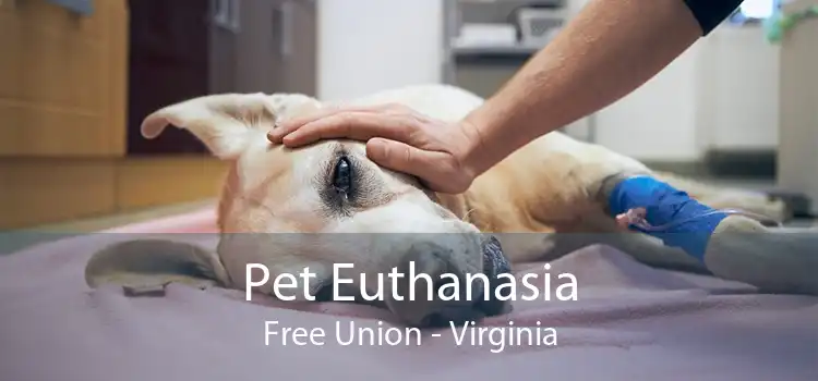 Pet Euthanasia Free Union - Virginia