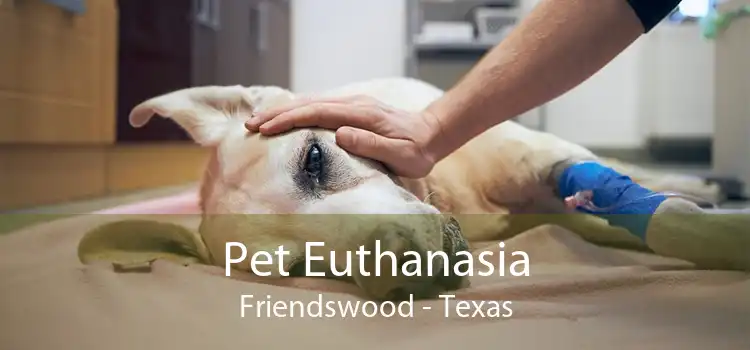 Pet Euthanasia Friendswood - Texas