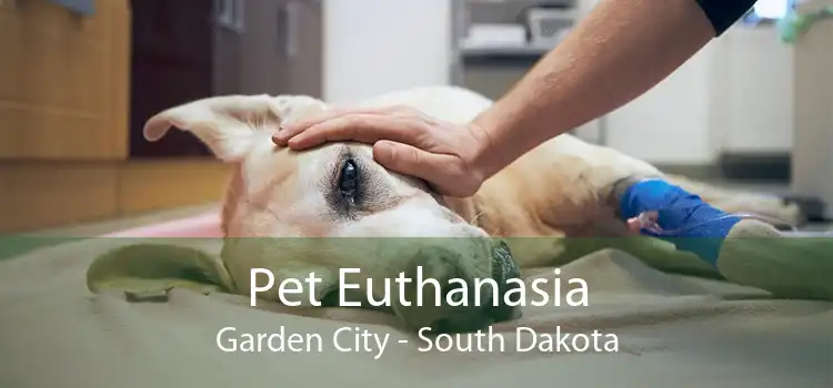 Pet Euthanasia Garden City - South Dakota