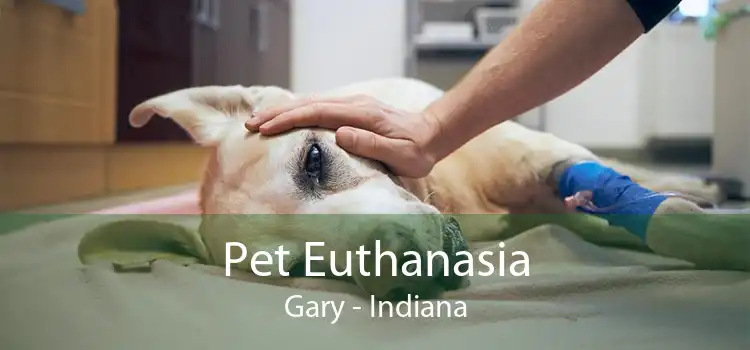 Pet Euthanasia Gary - Indiana