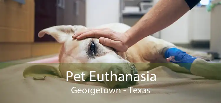Pet Euthanasia Georgetown - Texas