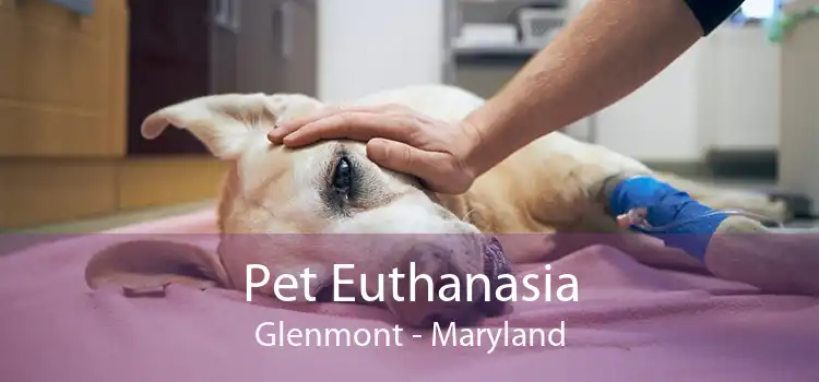 Pet Euthanasia Glenmont - Maryland