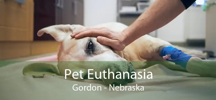 Pet Euthanasia Gordon - Nebraska