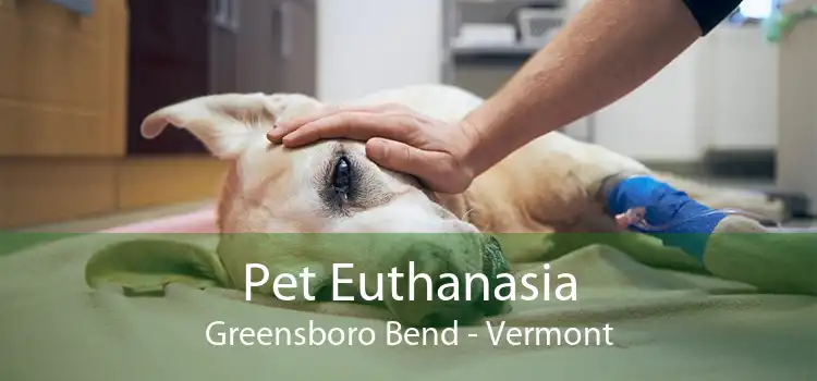 Pet Euthanasia Greensboro Bend - Vermont