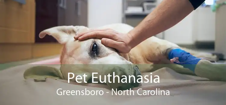 Pet Euthanasia Greensboro - North Carolina