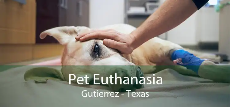 Pet Euthanasia Gutierrez - Texas