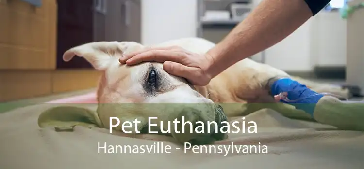 Pet Euthanasia Hannasville - Pennsylvania