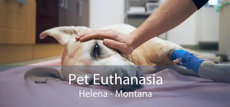 Pet Euthanasia Helena - Montana