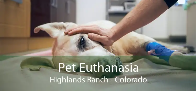 Pet Euthanasia Highlands Ranch - Colorado