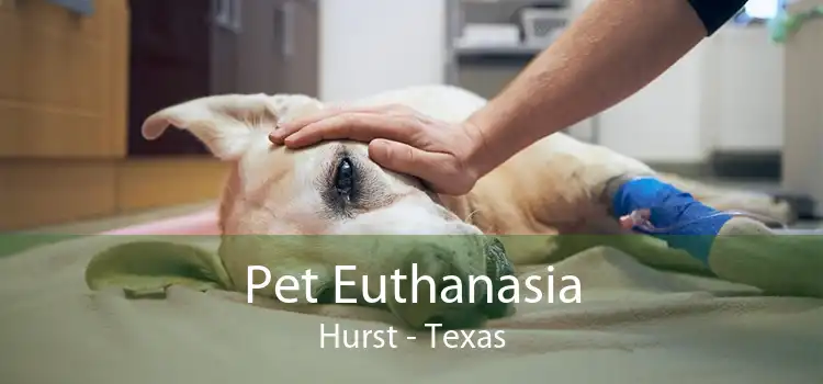 Pet Euthanasia Hurst - Texas