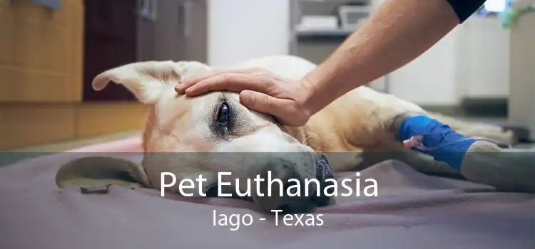 Pet Euthanasia Iago - Texas