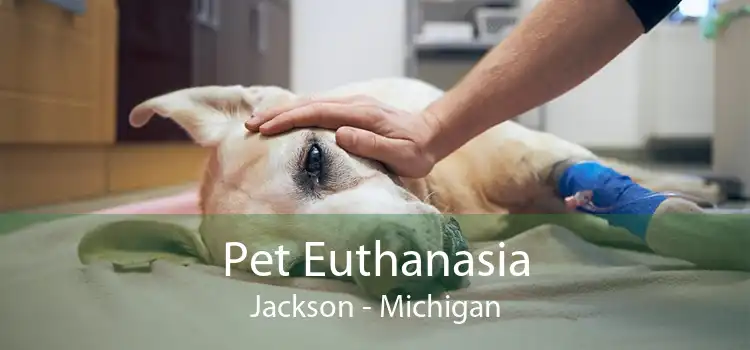 Pet Euthanasia Jackson - Michigan