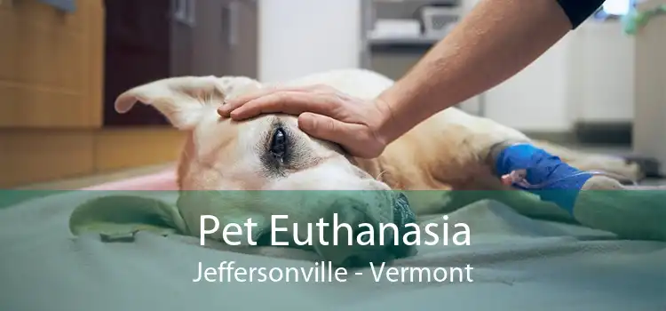 Pet Euthanasia Jeffersonville - Vermont