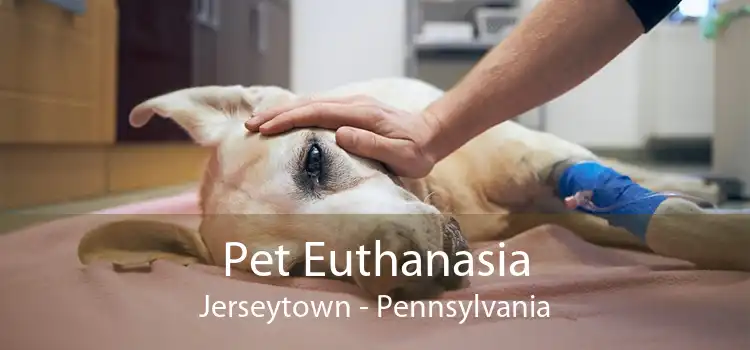 Pet Euthanasia Jerseytown - Pennsylvania