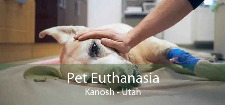 Pet Euthanasia Kanosh - Utah