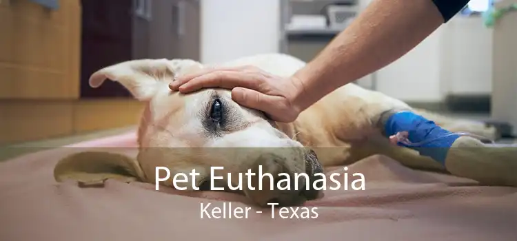 Pet Euthanasia Keller - Texas