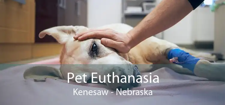 Pet Euthanasia Kenesaw - Nebraska