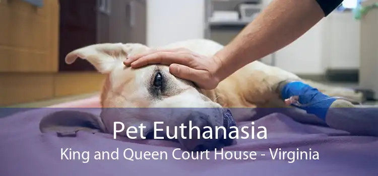 Pet Euthanasia King and Queen Court House - Virginia
