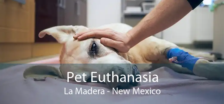 Pet Euthanasia La Madera - New Mexico