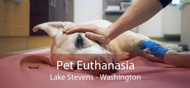 Pet Euthanasia Lake Stevens - Washington