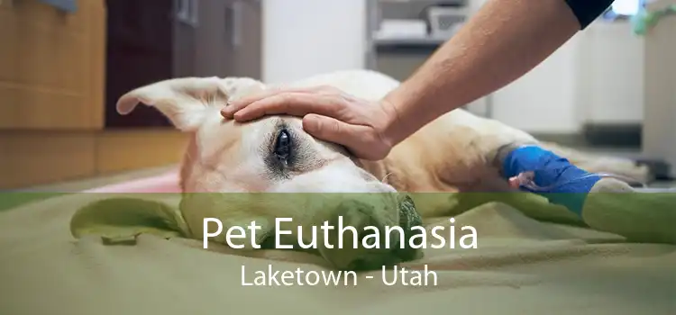 Pet Euthanasia Laketown - Utah