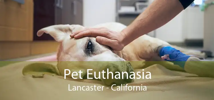 Pet Euthanasia Lancaster - California