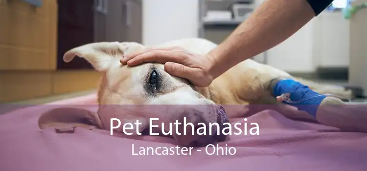 Pet Euthanasia Lancaster - Ohio