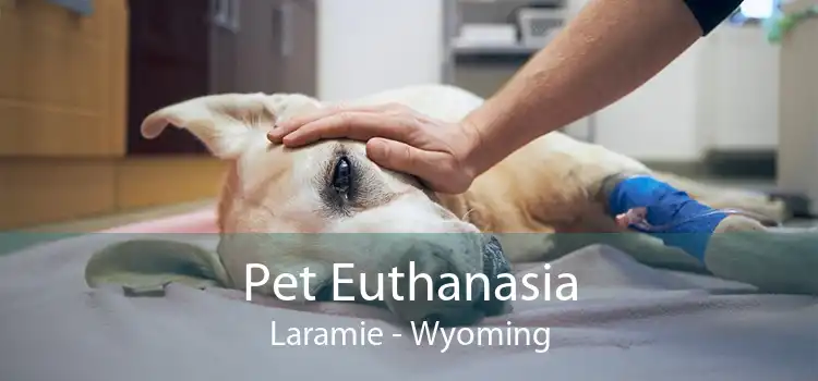 Pet Euthanasia Laramie - Wyoming