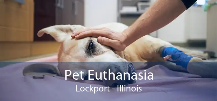 Pet Euthanasia Lockport - Illinois