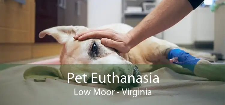 Pet Euthanasia Low Moor - Virginia