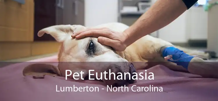 Pet Euthanasia Lumberton - North Carolina
